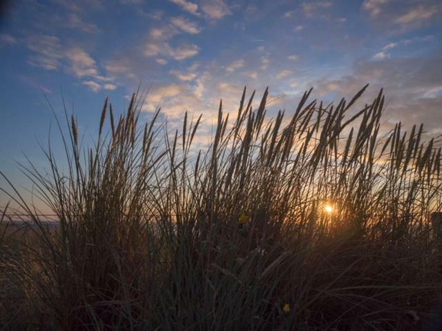 Pakhuis 5 Katwijk aan Zee Exterior foto